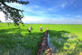 Cycling Mekong Delta Vietnam Saigon Tour 6 Days